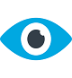 checklist icon